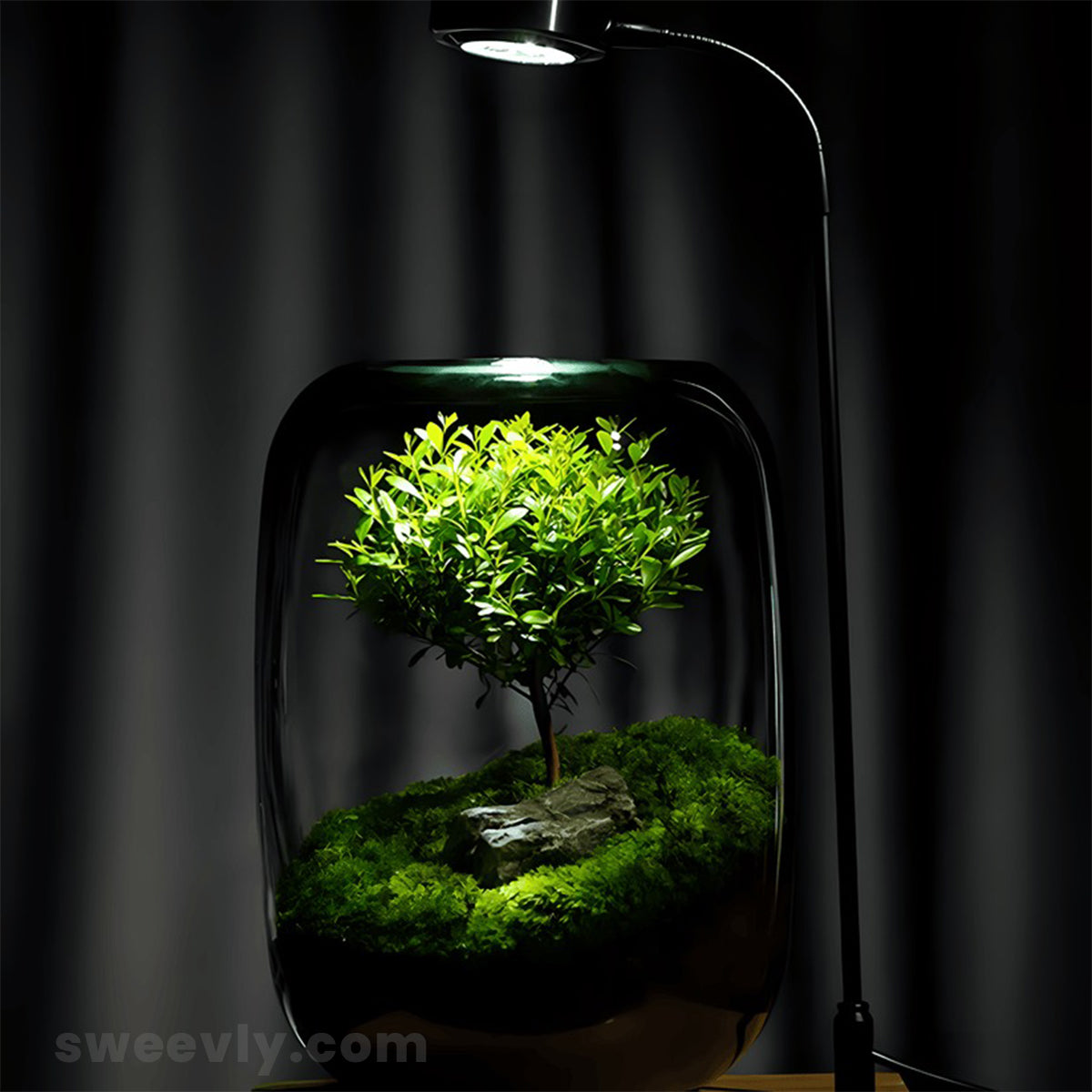 terrarium - tree of life with lamp