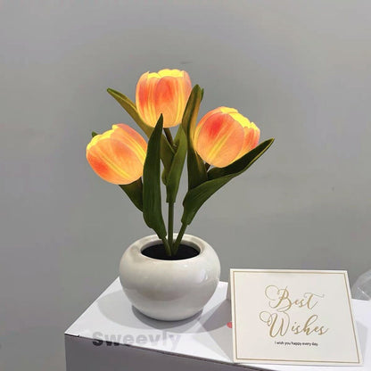 Sweevly - Tulip Dreamlight Table Lamp
