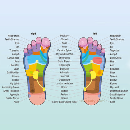 AcuFlow - Foot Massager